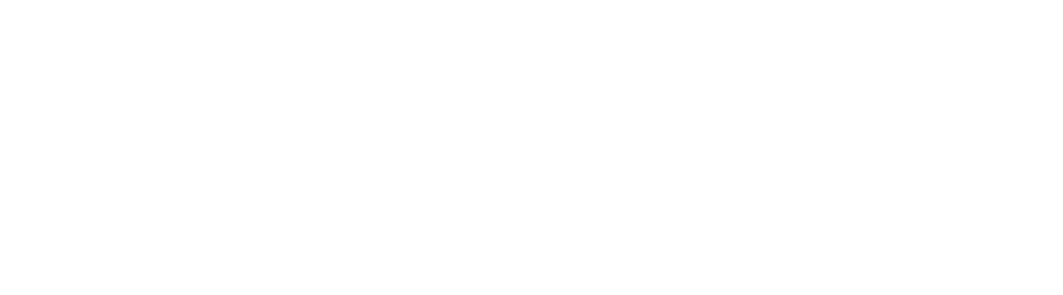 Marca / Institución 9